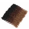 Color: 4style - Ombre Curly Crochet Hair Synthetic Braiding Hair Extensions